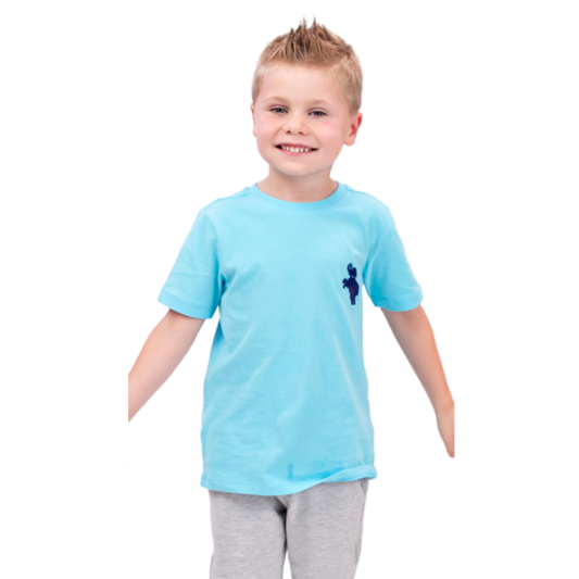 Boys Short Sleeve T-shirt - Bright Blue
