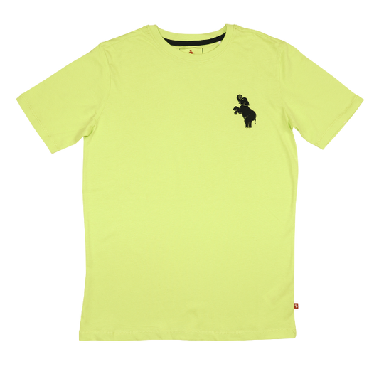 Boys Short Sleeve T-shirt - Neon
