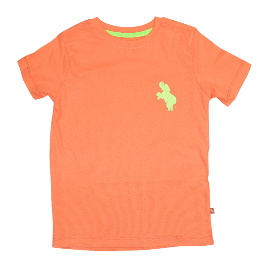 Boys Short Sleeve T-shirt - Neon Orange